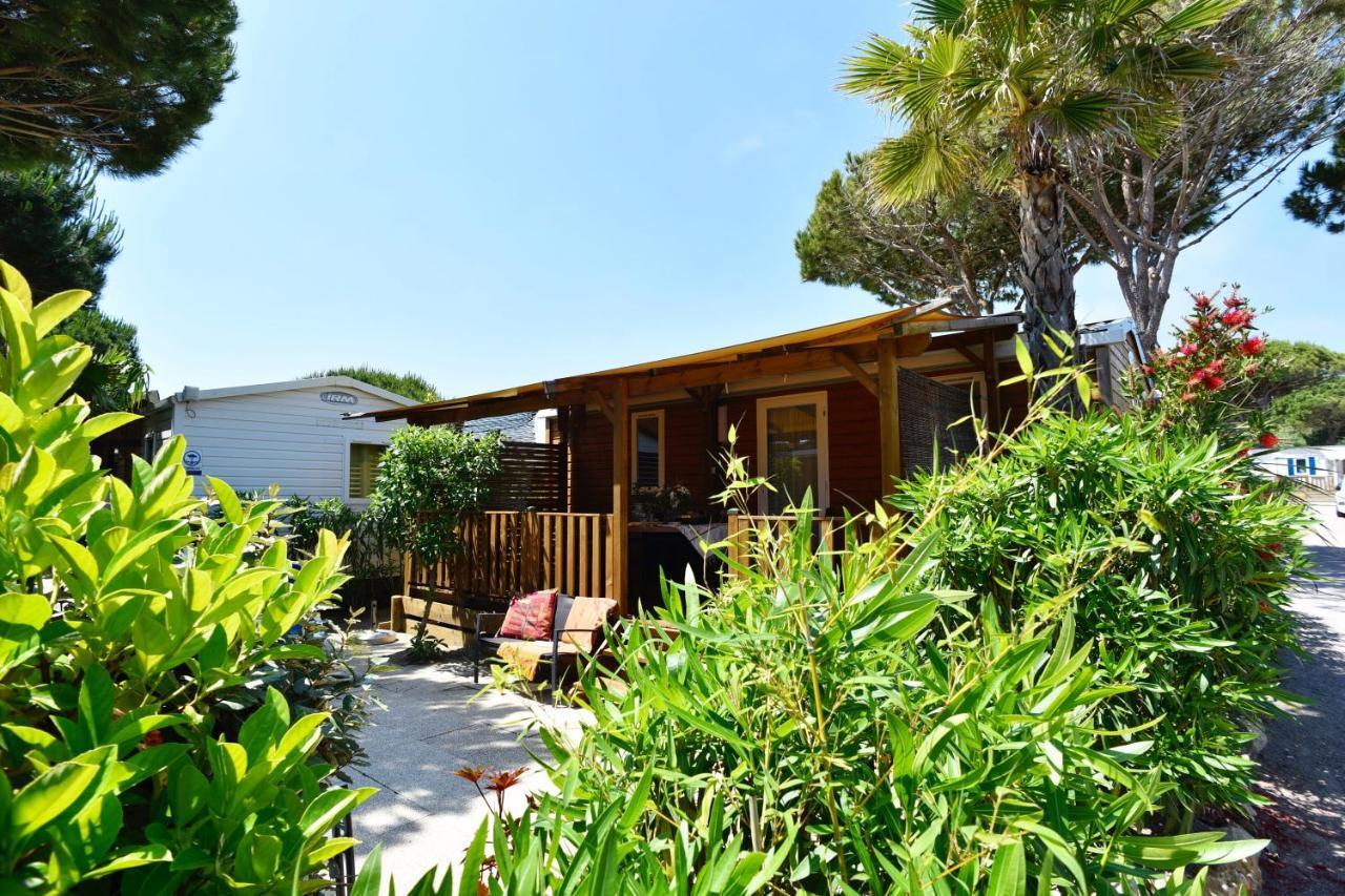 Sas Robrecht Camping