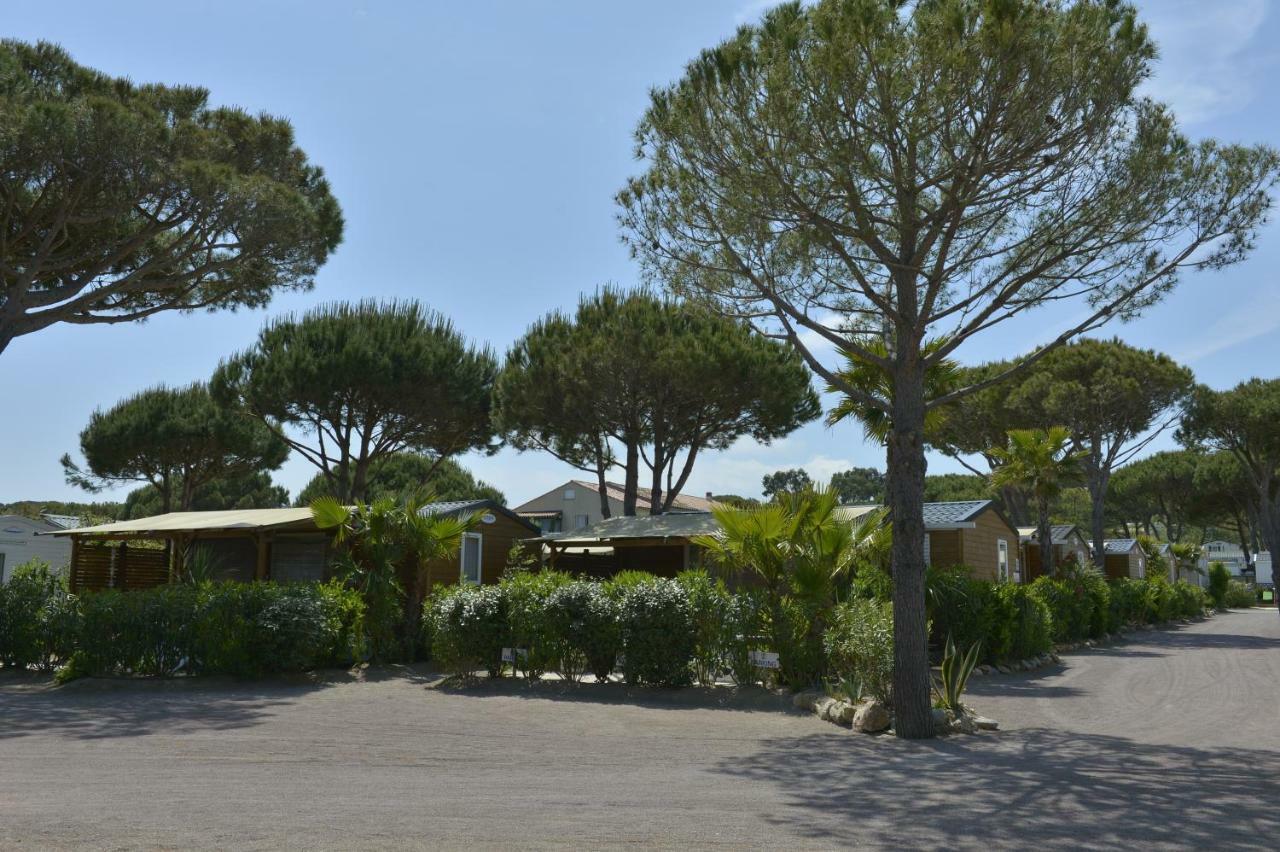 Campsite Sas Robrecht Saint-Tropez