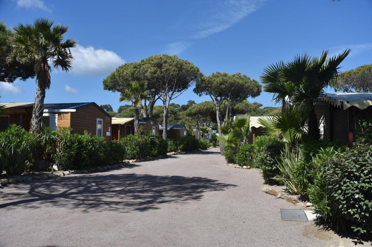 Sas Robrecht Saint-Tropez